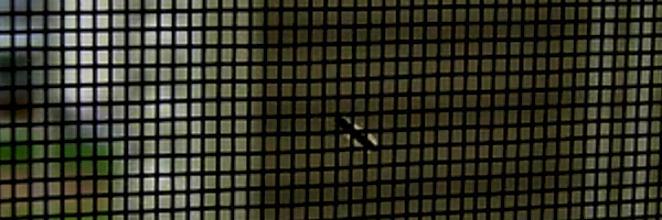 Profile cover